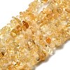 Gemstone Beads Strands X-F044-4