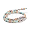 Natural Rainbow Alashan Agate Beads Strands G-NH0022-L01-01-3