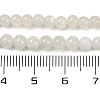 Natural White Moonstone Beads Strands G-D294-4mm-02-2