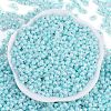 Opaque Colours Luster Glass Seed Beads X1-SEED-K010-04E-3