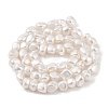 Electroplated Shell Pearl Beads Strands BSHE-C006-02A-2