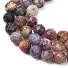 Natural Plum Blossom Tourmaline Beads Strands G-D110-A01-01-4