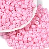 Opaque Baking Paint Glass Seed Beads SEED-T008-02G-1