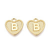 Alloy Pendants PALLOY-N157-001B-NR-1