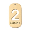 304 Stainless Steel Pendants STAS-D200-02C-G-1