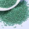 MIYUKI Delica Beads SEED-MY11-DB1182-1