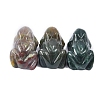 Natural Indian Agate Carved Frog Figurines PW-WG62350-26-1