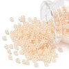 TOHO 6/0 Round Beads X-SEED-TR06-0147-1