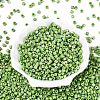 FGB Opaque Colours Glass Seed Beads SEED-Q040-07A-A06-2