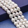 Natural Cultured Freshwater Pearl Beads Strands PEAR-P060-12-1