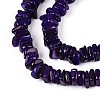 Natural Freshwater Shell Beads Strands SHEL-T020-40B-3