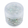 Transparent Glass Beads EGLA-N002-49-B07-2