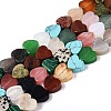 Natural & Synthetic Mixed Stone Beads Strands G-Q608-21-2