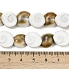 Natural Shiva Eye Shell Beads Strands SHEL-G021-01B-4