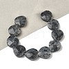 Natural Larvikite Beads Strands G-A309-A18-01-1