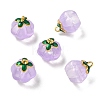 Glass Charms GLAA-P072-04G-05-1