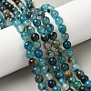 Dyed Natural Agate Faceted Round Beads Strands G-E320E-8mm-15-5