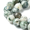 Natural Tree Agate Round Gemstone Beads Strands G-R255-10mm-4