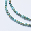 Natural Aqua Terra Jasper Beads Strands G-E444-14A-4mm-3
