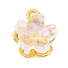 Alloy Glass Charms FIND-C079-05G-03-1