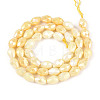 Anti-Tarnish Electroplate Glass Beads Strands X-GLAA-T025-13A-09-2