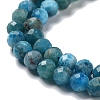 Natural Apatite Beads Strands G-J400-E01-04-3