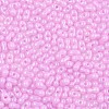 Baking Paint Glass Seed Beads SEED-L011-09A-10-3