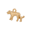 304 Stainless Steel Charms SA-OY001-59G-1