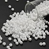 TOHO 6/0 Round Beads X-SEED-TR06-0041F-1