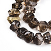 Natural Smoky Quartz Beads Strands G-B072-C01-03-01-3