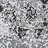 Imitation Cat Eyes Glass Seed Beads X2-SEED-H003-03J-4