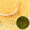 6/0 Luminous Glass Seed Beads SEED-NH0001-01L-1