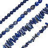Kissitty 4 Strands 4 Style Natural Lapis Lazuli Beads Strands G-KS0001-12-1