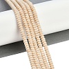 Natural Fossil Beads Strands G-K343-C24-01-2