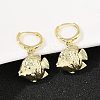 Brass Hoop Earrings EJEW-Q036-03A-G-5