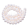 Natural Cultured Freshwater Pearl Beads Strands PEAR-N013-07N-4