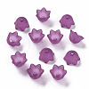 Transparent Acrylic Beads Caps PL543-7-2