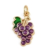 Brass Enamel Charms KK-B150-15G-1