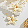 Bohemian Iron & Raffia Stud Earrings WGAF04A-02-1