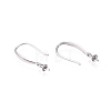 Anti-Tarnish Rhodium Plated 925 Sterling Silver Earring Hooks STER-N016-27P-2