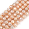 Natural Cultured Freshwater Pearl Beads Strands PEAR-I007-07Z-01B-2