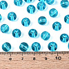 FGB Transparent Glass Seed Beads SEED-N013-01C-10-5