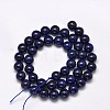 Dyed Natural Lapis Lazuli Round Beads Strands G-M169-10mm-05-2