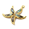 304 Stainless Steel Pave Natural Paua Shell/Abalone Shell Pendants STAS-S163-21G-2