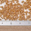 MIYUKI Delica Beads SEED-MY11-DB1778-4