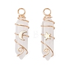 2Pcs 2 Styles Natural Quartz Crystal Double Terminated Pointed Pendants PALLOY-JF03122-05-1