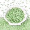 FGB Frosted Transparent Glass Seed Beads SEED-N013-06A-08-2