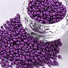 Baking Paint Glass Seed Beads SEED-S001-K11-1