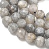 Natural Labradorite Beads Strands G-L642-F07-8mm-4