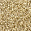 MIYUKI Round Rocailles Beads SEED-G007-RR0578-3